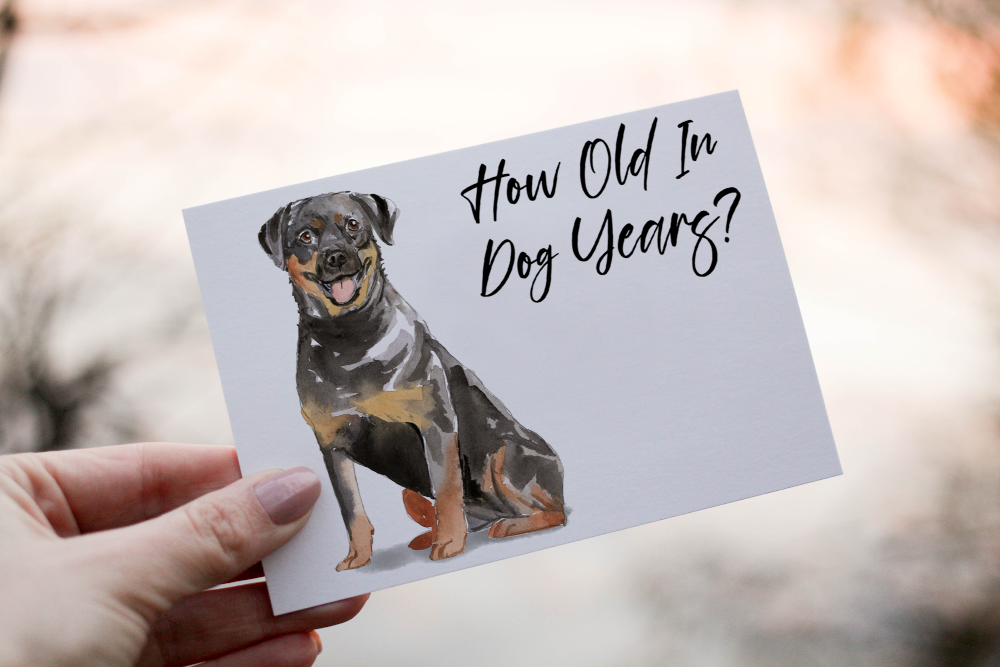 Rotweiler Dog Birthday Card, Dog Birthday Card